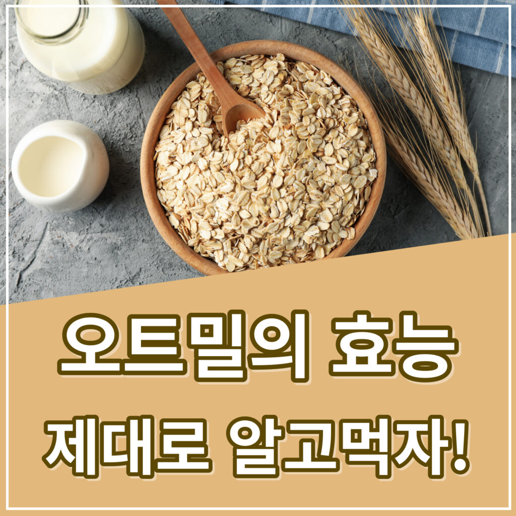 오트밀 효능